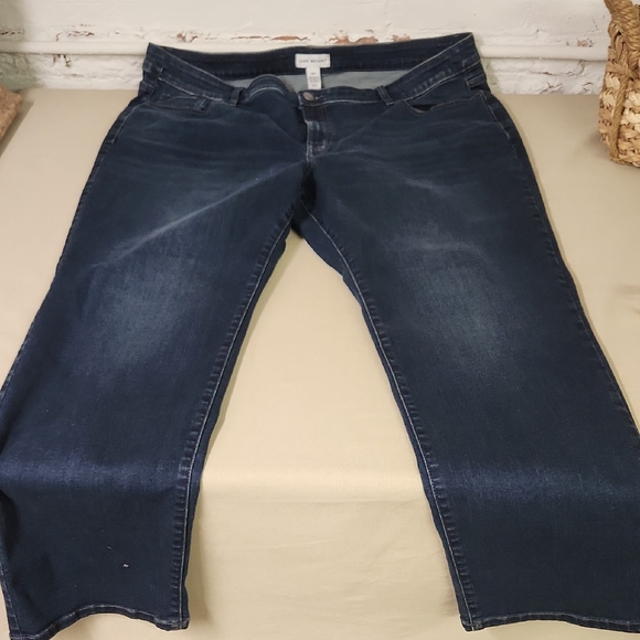 Lane Bryant Denim - Lane Bryant Indigo Denim Jeans Size 24S
